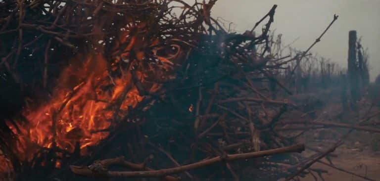 Château Potensac – Domaines Delon