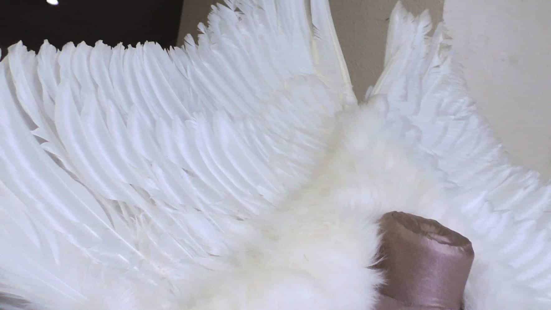 Des robes de mariées