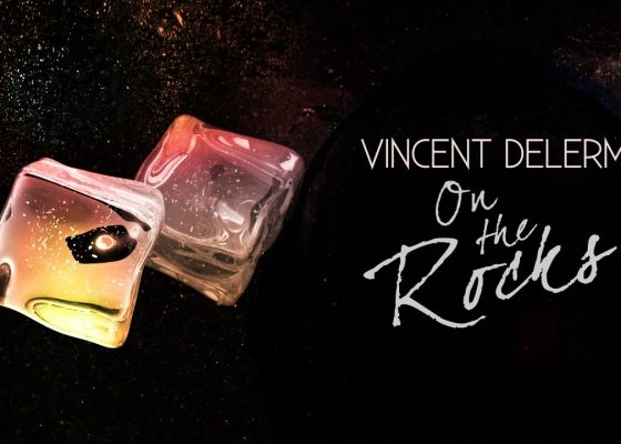 Vincent Delerm On The Rocks !