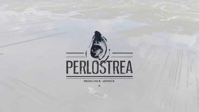 huîtres de d'Arcachon