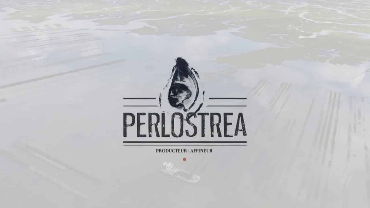 huîtres de d'Arcachon