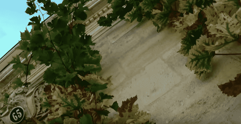 video-bordeaux-quartier-sacre-coeur-jardin-cooperatif