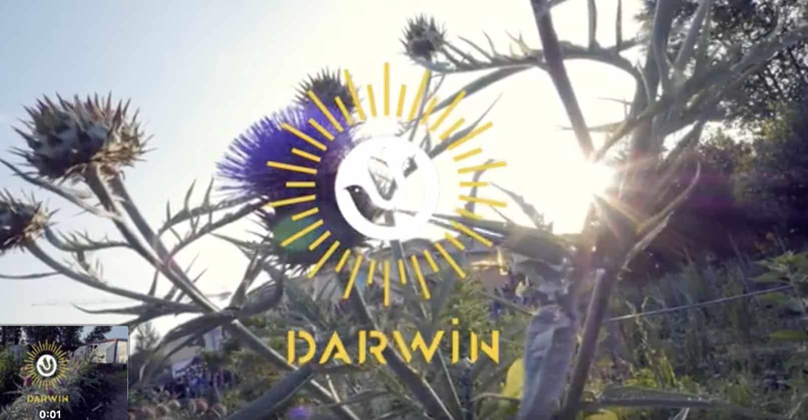 darwin ecosysteme Bordeaux