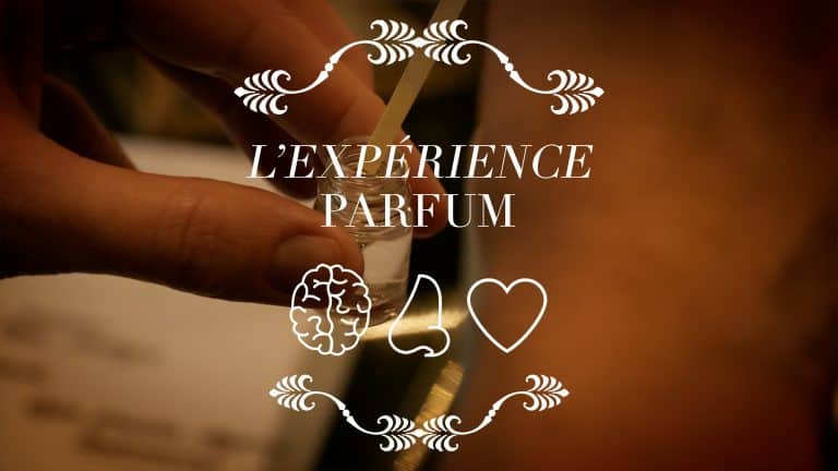 nez insurge experience parfum