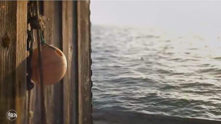 Bassin d'Arcachon way of live