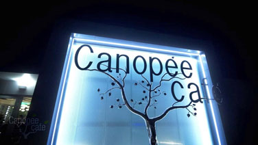 Le Canopee café Restaurant Bodega à Mérignac
