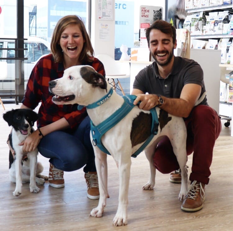 métier vétérinaire