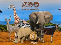 Le Zoo du Bassin d’Arcachon