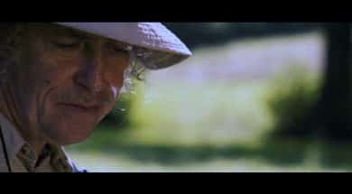 Les Herbettes de François Maurisse