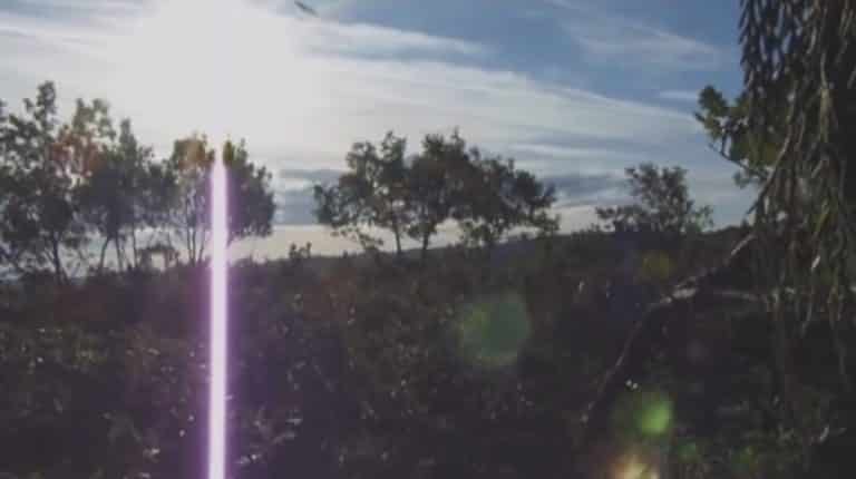 humour la-palombiere-chasse-a-la-palombe-bordeaux