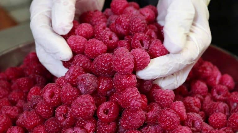 glacier lacanau Gelato Familia