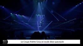 Le Cirque Arlette Grüss et l’agenda de vos sorties – Bordeaux Actus