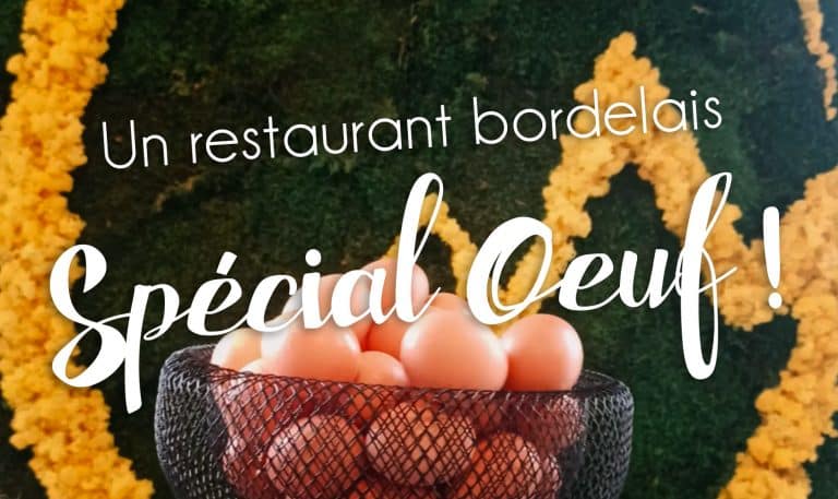 shake it oeuf bordeaux