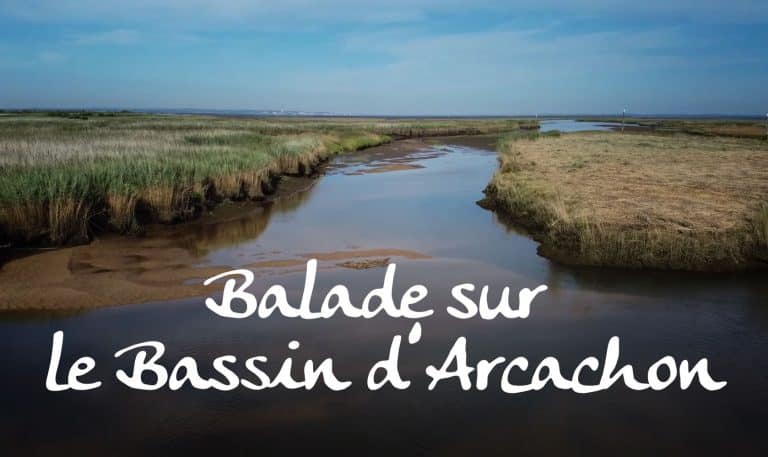 Balade Bassin d'Arcachon
