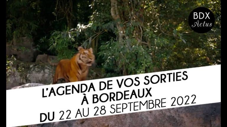 agenda video bordeaux