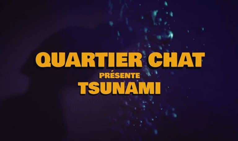 quartier chat musique bordeaux