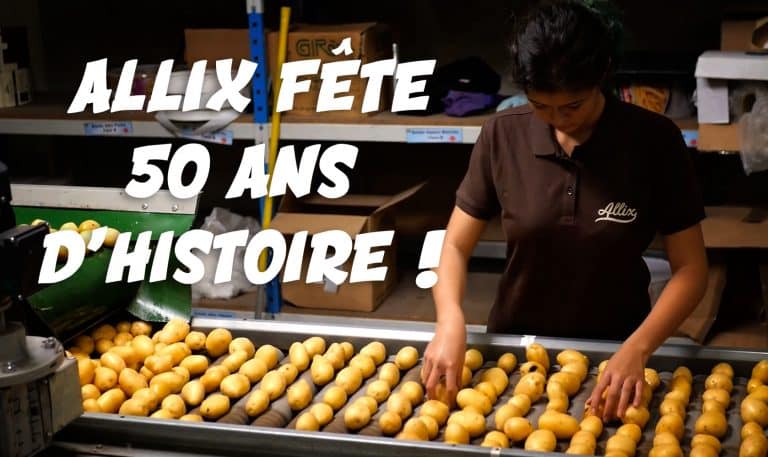 allix pommes de terre