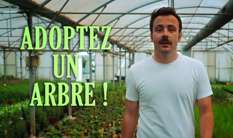 Adoptez un arbre