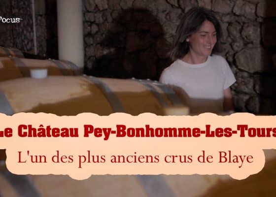 chateau pey bonhomme les tours