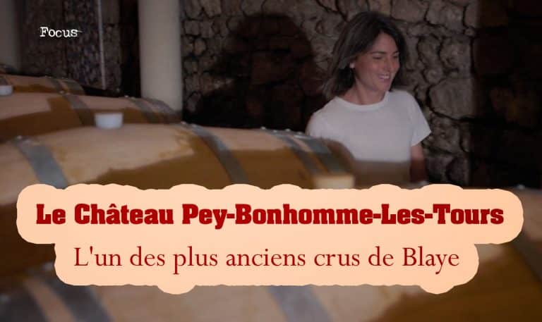 chateau pey bonhomme les tours