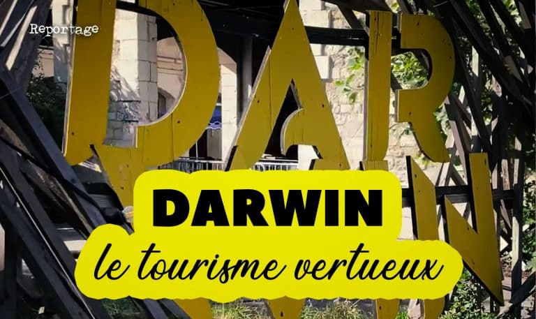 darwin bordeaux