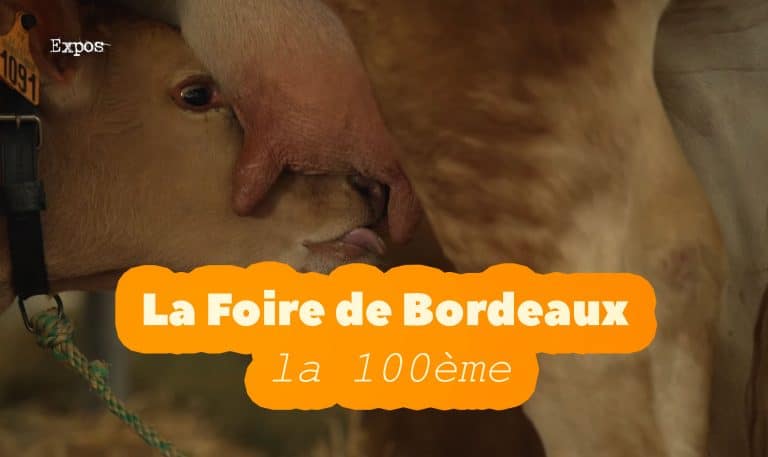 la foire de bordeaux