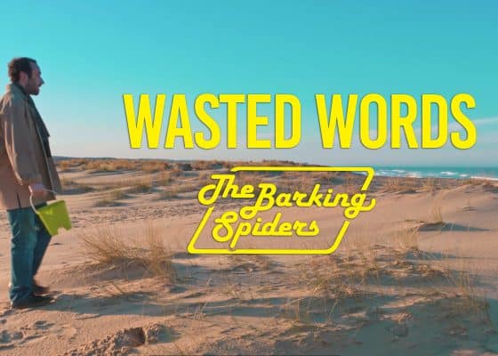 barking-spiders-wasted-words-musique-bordeaux
