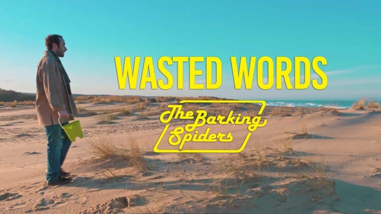 barking-spiders-wasted-words-musique-bordeaux